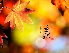  立秋已至，秋季家具如何保养？